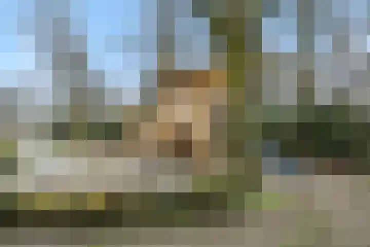 Eekhof 20 Deurne thumbnail 43