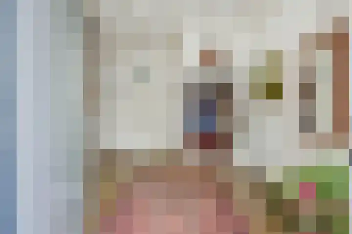 Eekhof 20 Deurne thumbnail 8