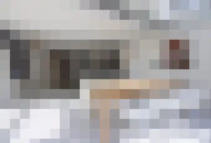 Eekhool 44 Hilvarenbeek thumbnail 10