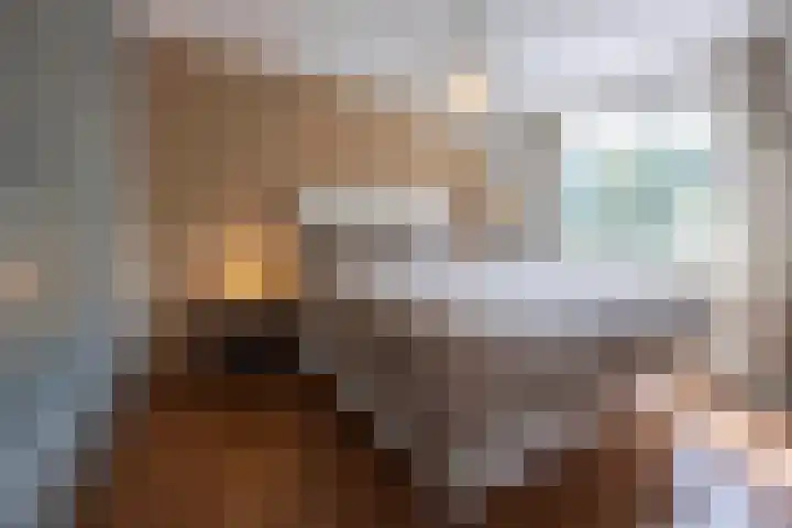 Eekhool 44 Hilvarenbeek thumbnail 16