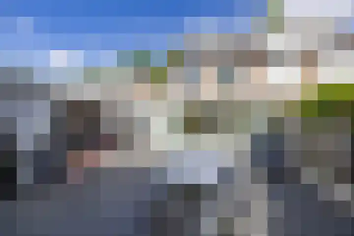 Eekhool 44 Hilvarenbeek thumbnail 24