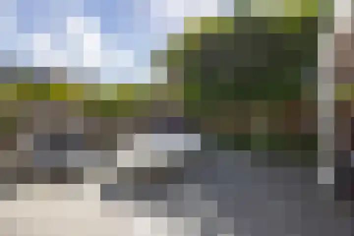 Eekhool 44 Hilvarenbeek thumbnail 27