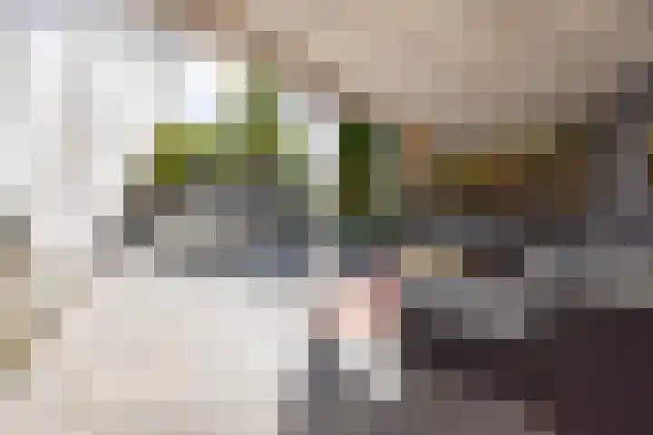 Eekhool 44 Hilvarenbeek thumbnail 30