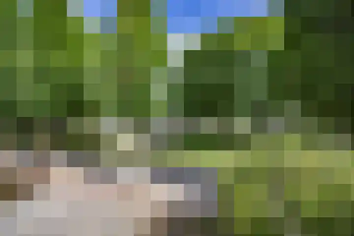Eekhool 44 Hilvarenbeek thumbnail 33