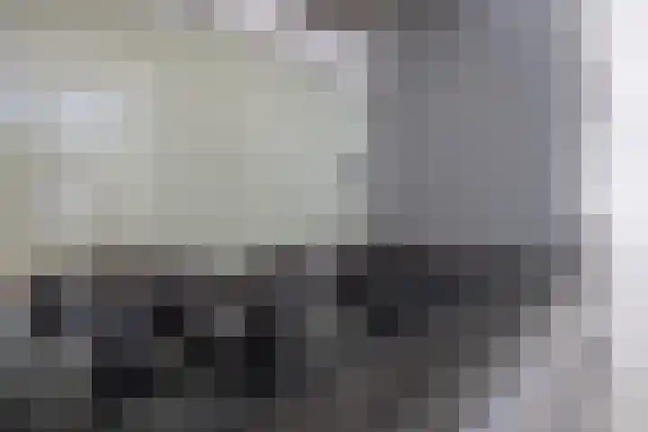 Eekhool 44 Hilvarenbeek thumbnail 6