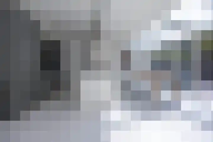 Eekhool 44 Hilvarenbeek thumbnail 7