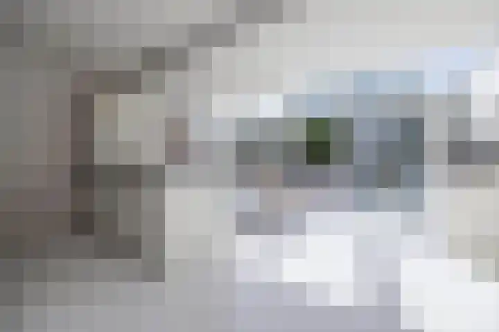 Eekhool 44 Hilvarenbeek thumbnail 8