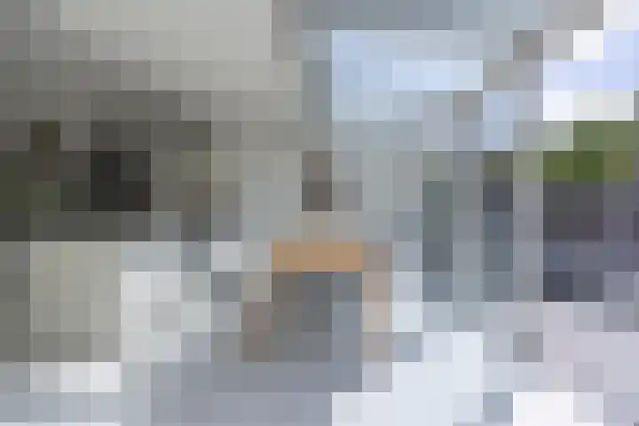 Eekhool 44 Hilvarenbeek thumbnail 9