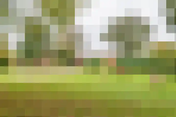 Eekhoornhof 37 Silvolde thumbnail 38