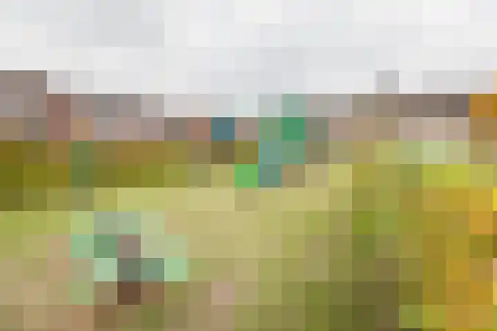 Eekhoornhof 37 Silvolde thumbnail 39