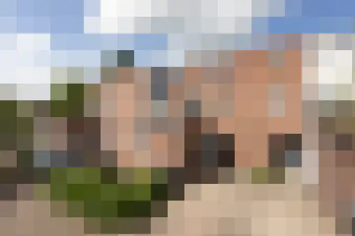 Eekmolen 5 Sneek