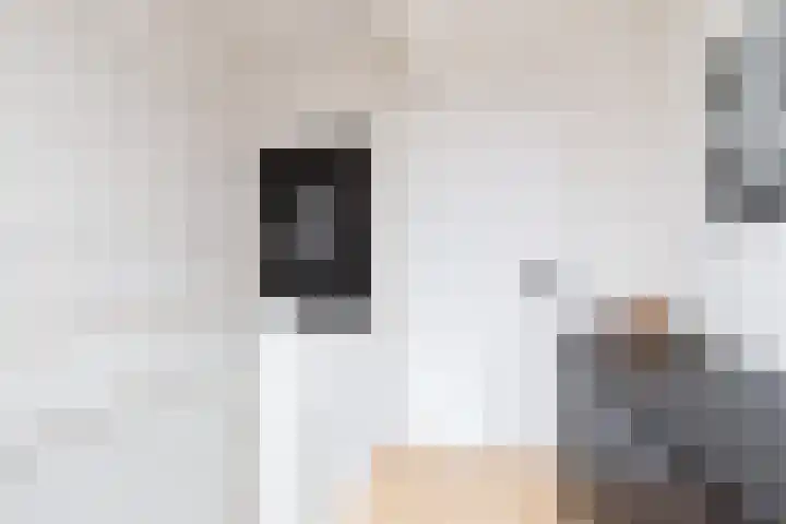 Eekmolen 5 Sneek thumbnail 23