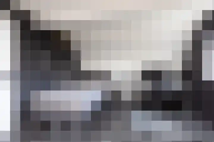 Eekmolen 5 Sneek thumbnail 25
