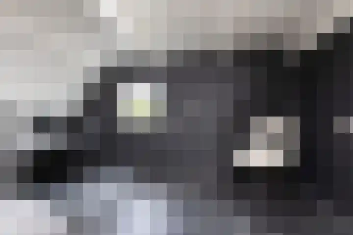 Eekmolen 5 Sneek thumbnail 26