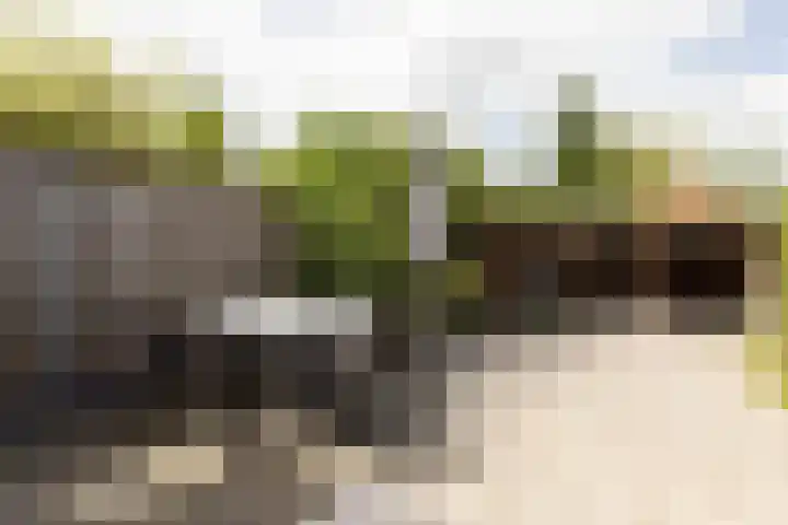 Eekmolen 5 Sneek thumbnail 30