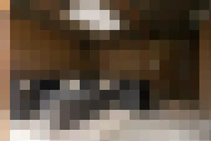 Eekmolen 5 Sneek thumbnail 32