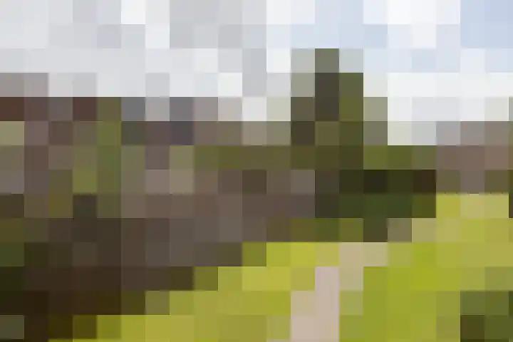 Eekmolen 5 Sneek thumbnail 33