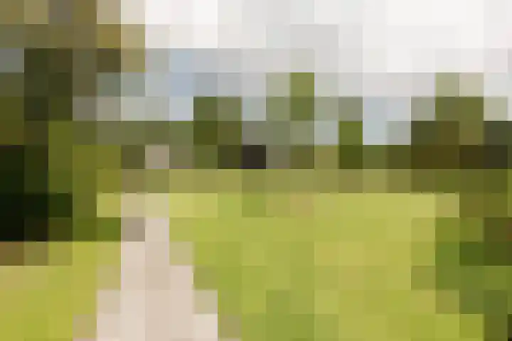 Eekmolen 5 Sneek thumbnail 34