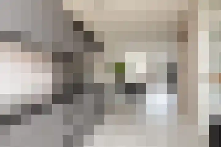 Eekmolen 5 Sneek thumbnail 7