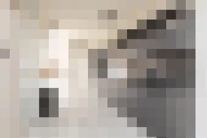 Eekmolen 5 Sneek thumbnail 8