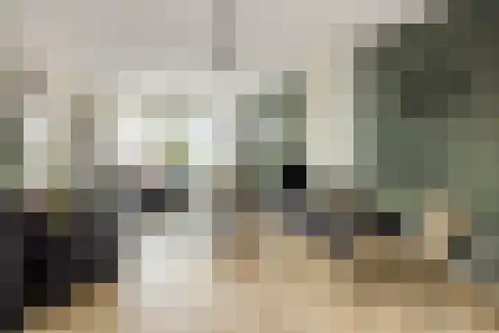 Eekstraat 27 Deurne thumbnail 13