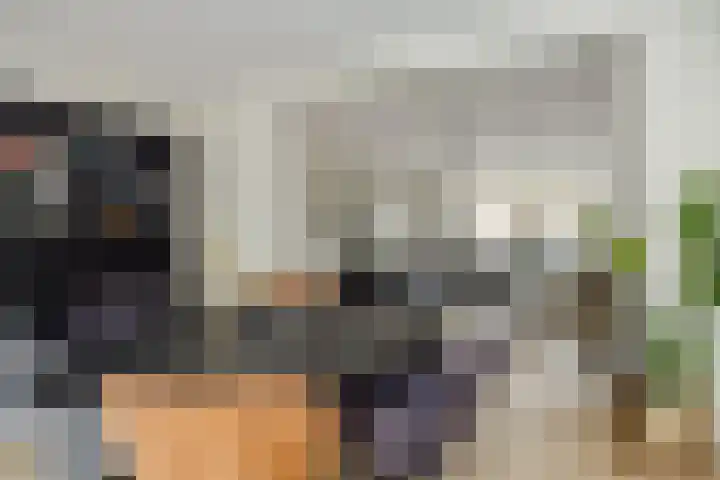 Eekstraat 27 Deurne thumbnail 17