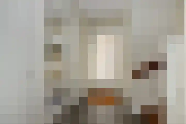 Eekstraat 27 Deurne thumbnail 7