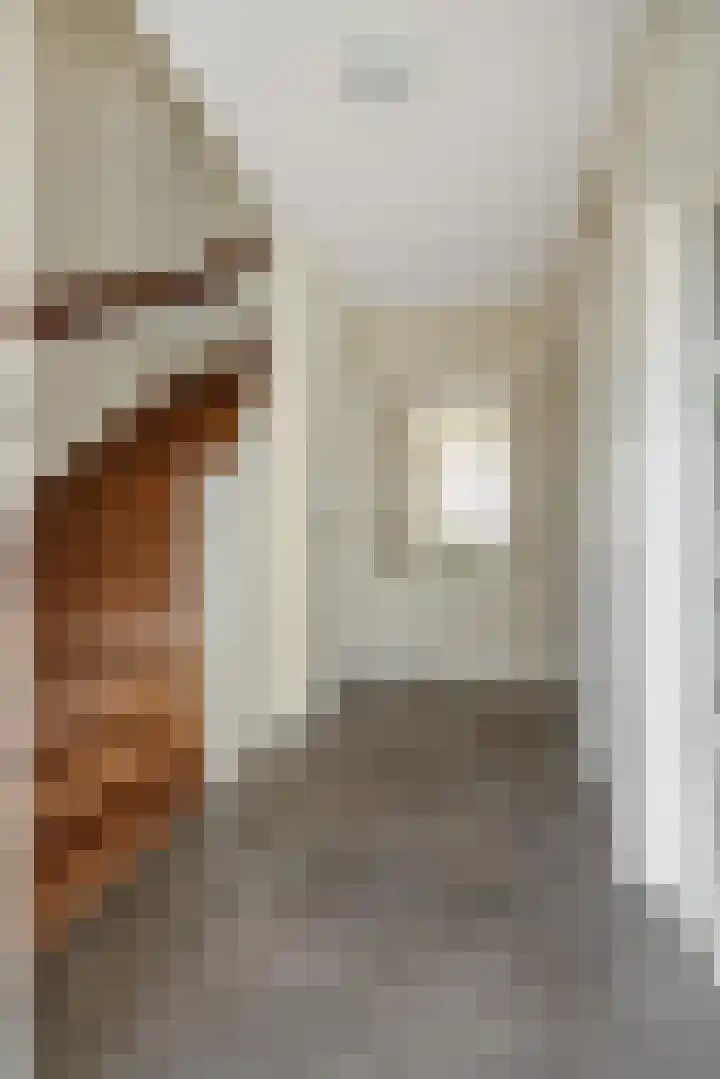 Eekstraat 27 Deurne thumbnail 8