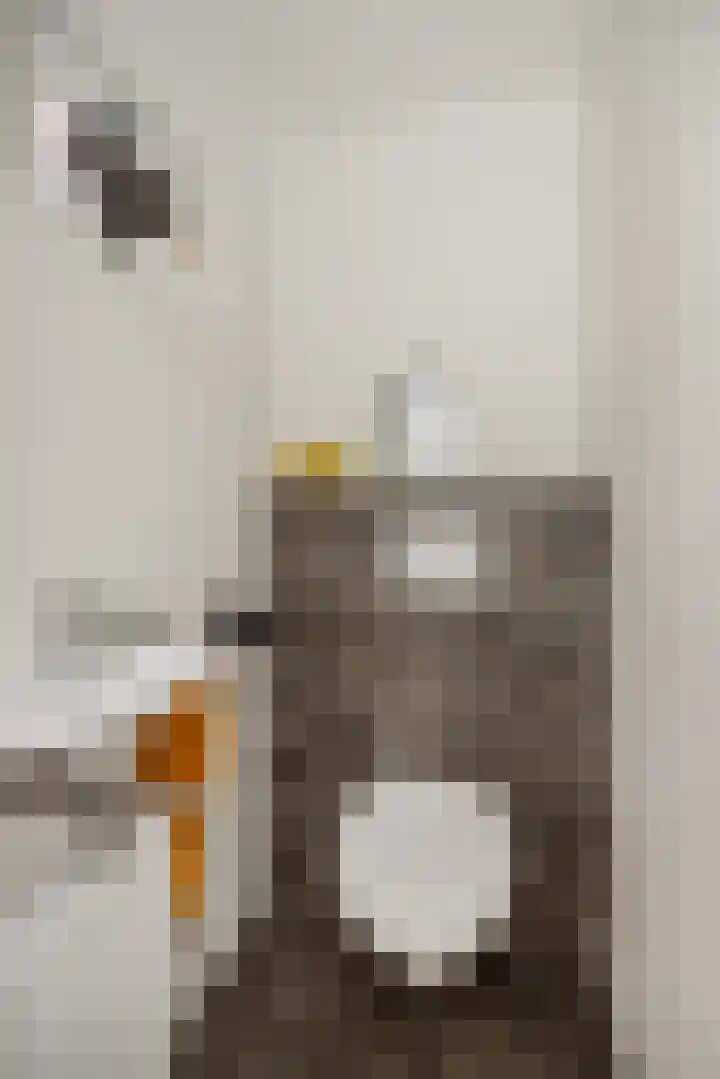 Eekstraat 27 Deurne thumbnail 9