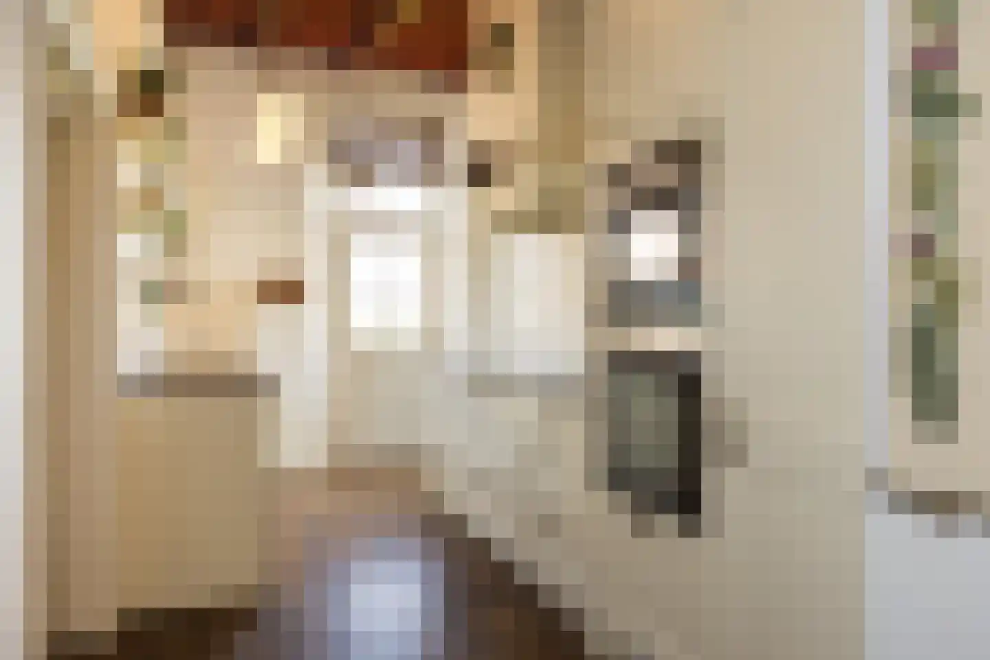 Eekstraat 3 Steenderen thumbnail 15