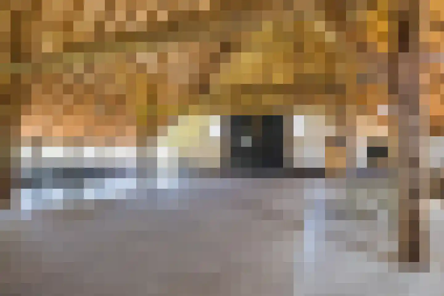 Eekstraat 3 Steenderen thumbnail 22