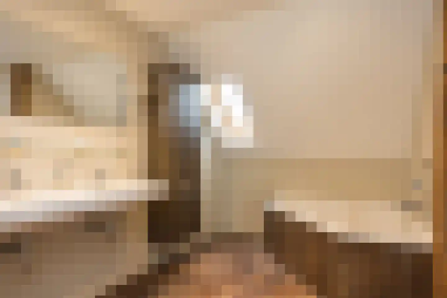 Eekstraat 3 Steenderen thumbnail 29