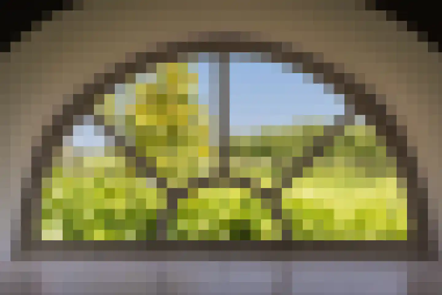 Eekstraat 3 Steenderen thumbnail 41