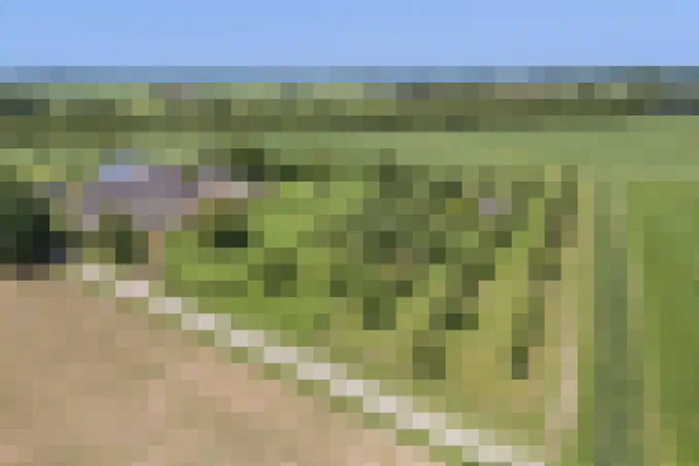 Eekstraat 3 Steenderen thumbnail 59