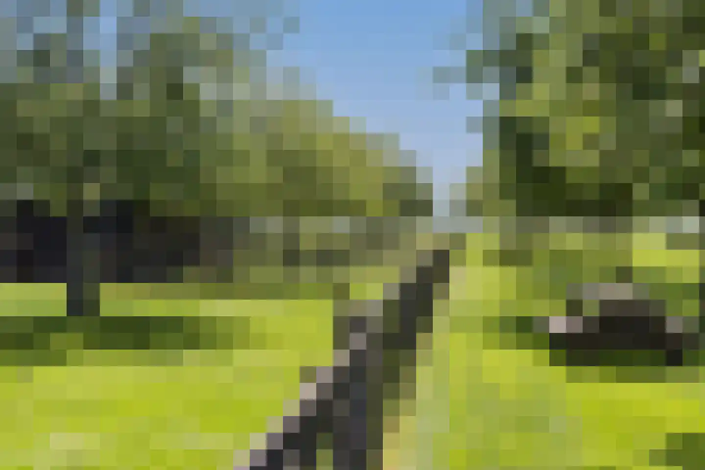 Eekstraat 3 Steenderen thumbnail 62