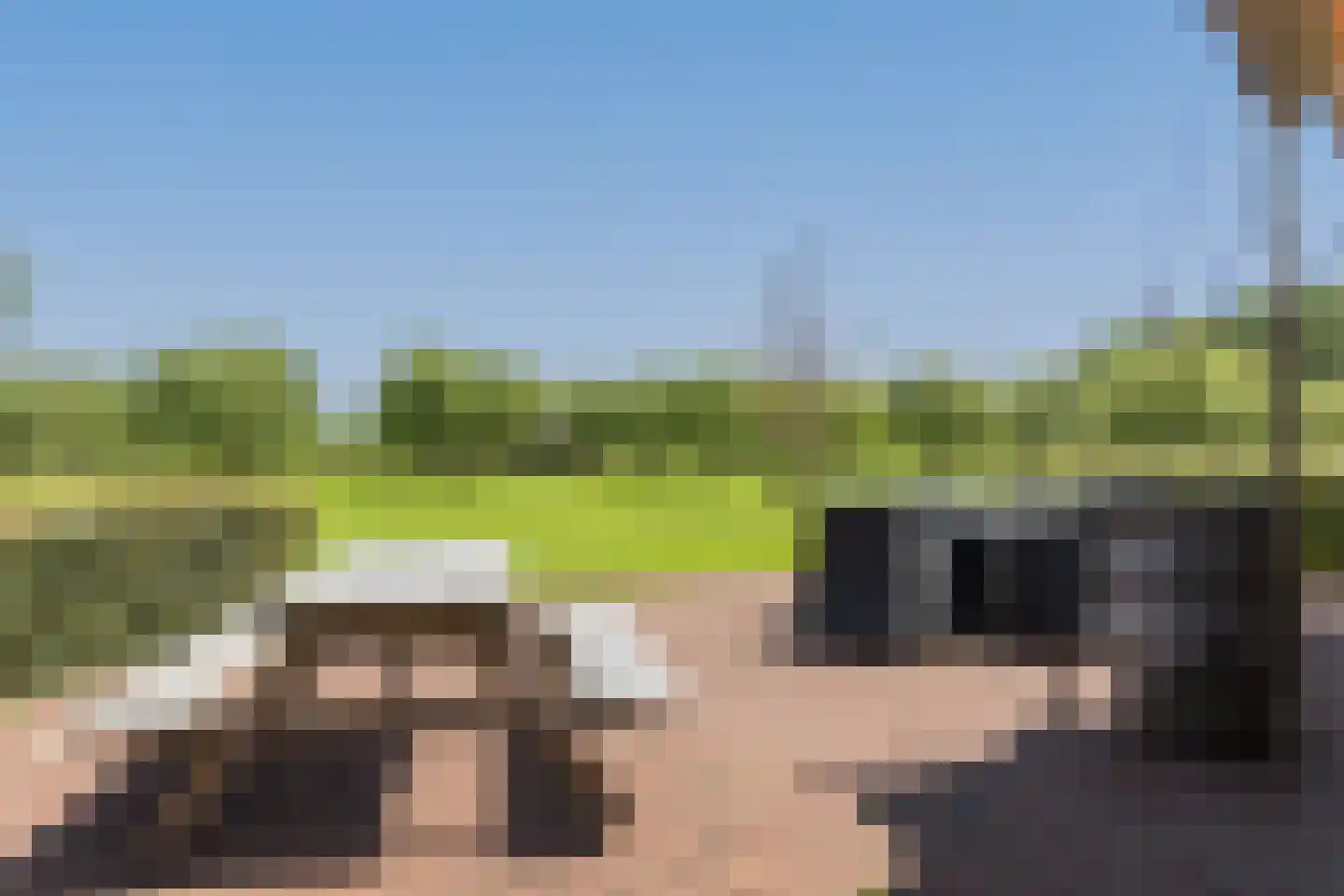 Eekstraat 3 Steenderen thumbnail 68
