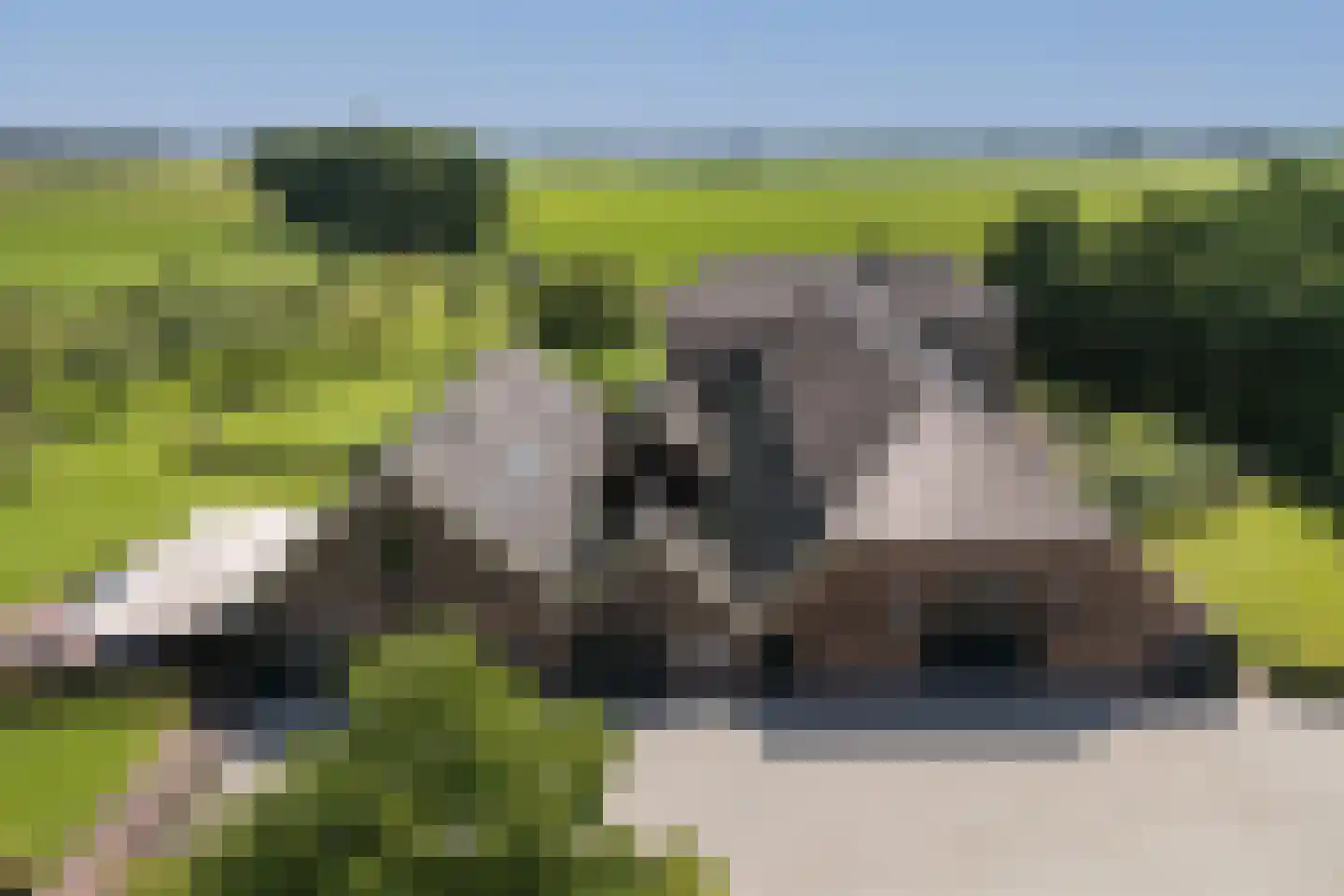Eekstraat 3 Steenderen thumbnail 71