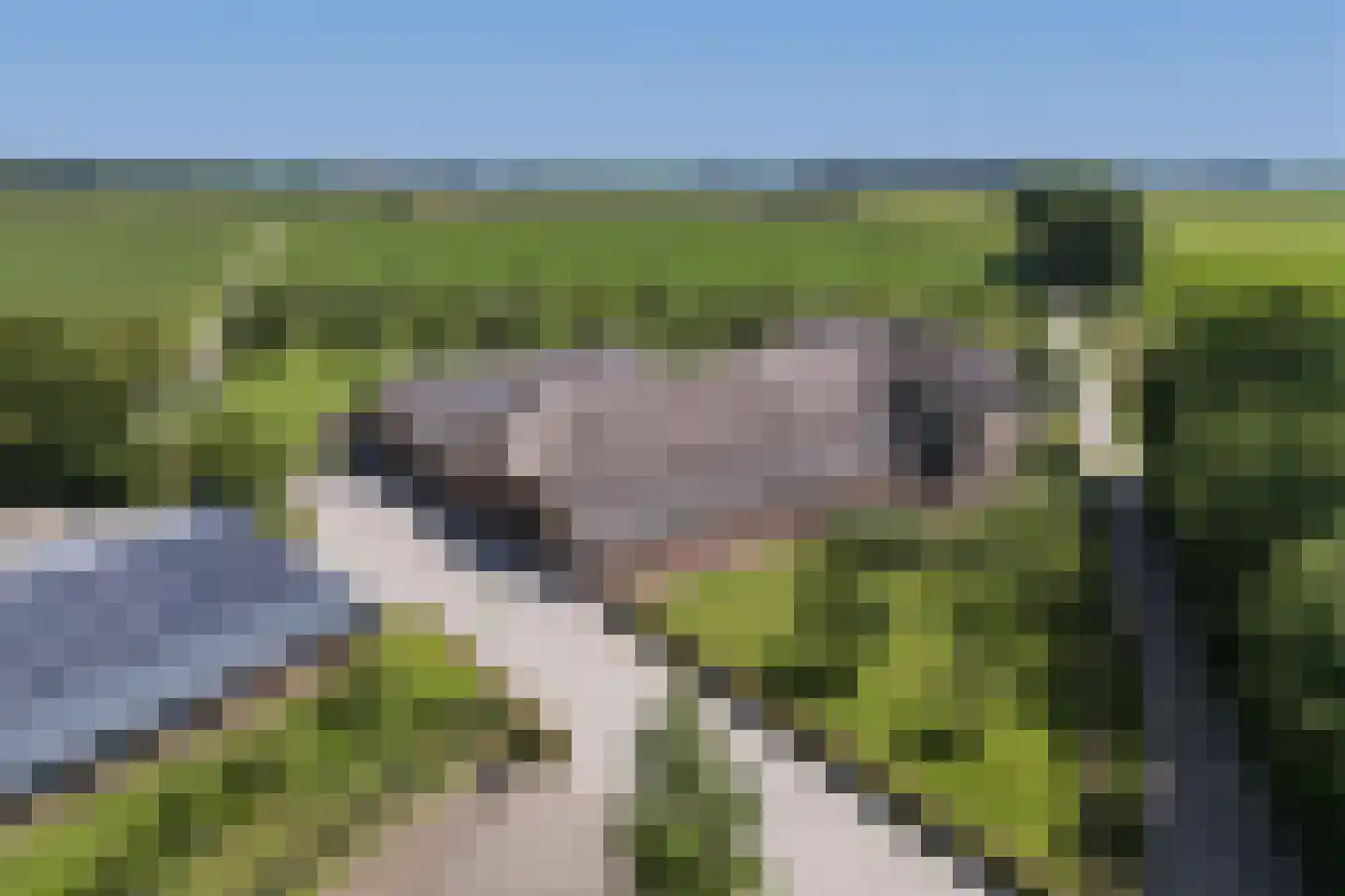 Eekstraat 3 Steenderen thumbnail 72