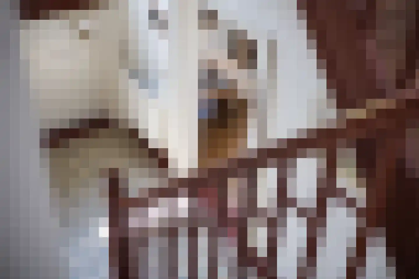 Eekstraat 3 Steenderen thumbnail 8