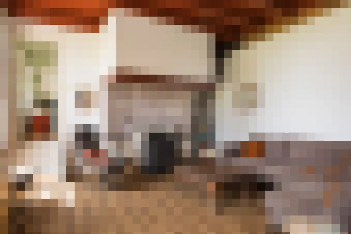 Eekstraat 3 Steenderen thumbnail 9
