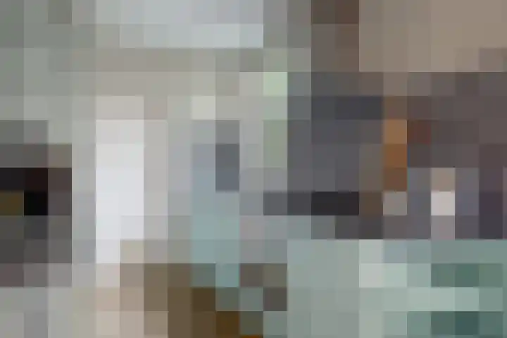 Eekwal 55 Renkum thumbnail 10