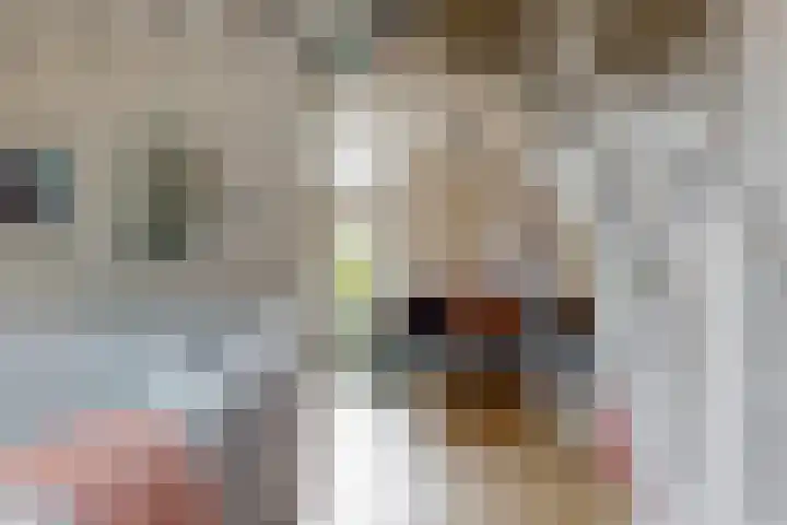 Eekwal 55 Renkum thumbnail 20