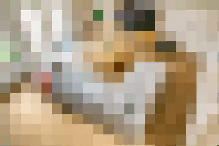 Eekwal 55 Renkum thumbnail 21