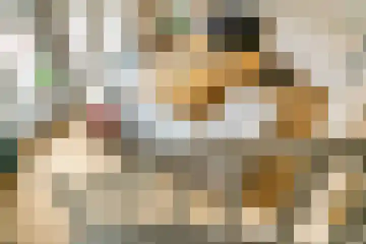 Eekwal 55 Renkum thumbnail 22