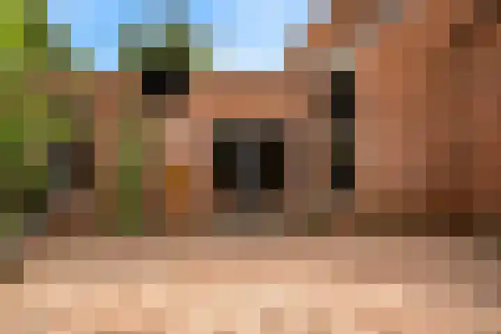 Eekwal 55 Renkum thumbnail 38
