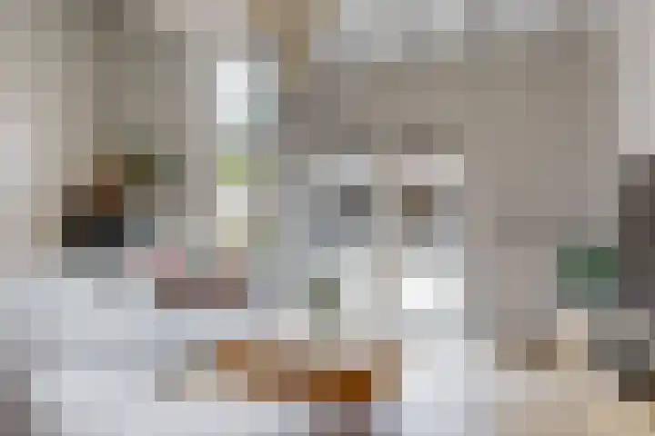 Eekwal 55 Renkum thumbnail 4