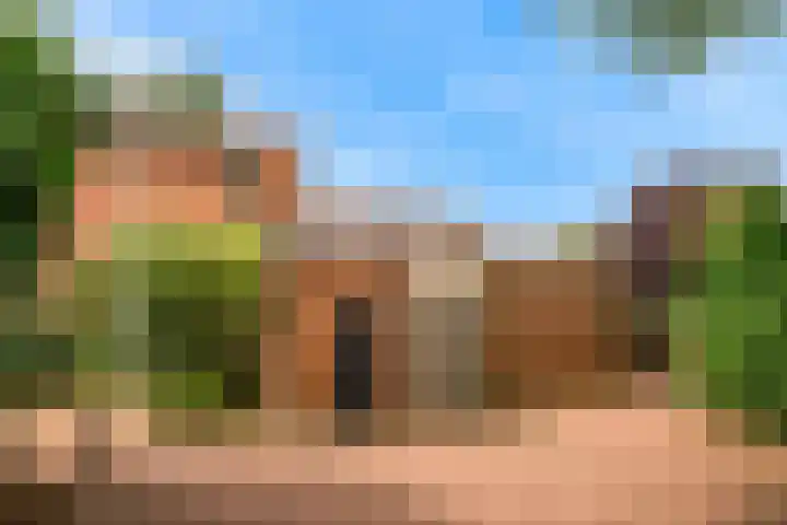 Eekwal 55 Renkum thumbnail 42