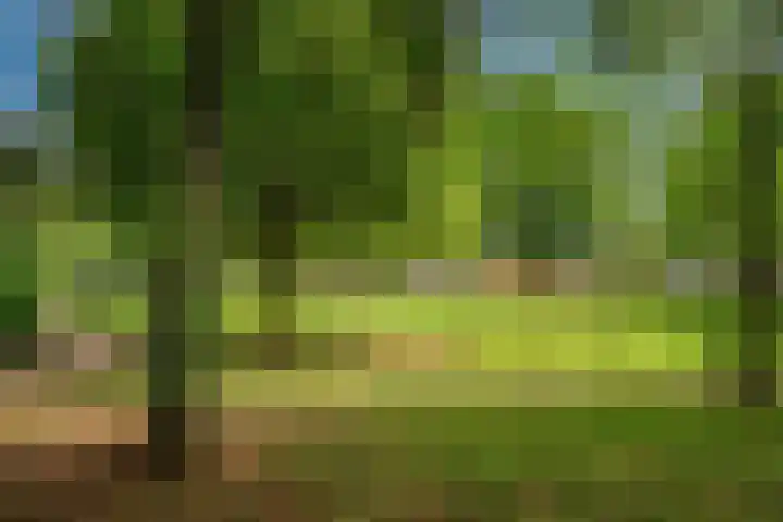 Eekwal 55 Renkum thumbnail 44
