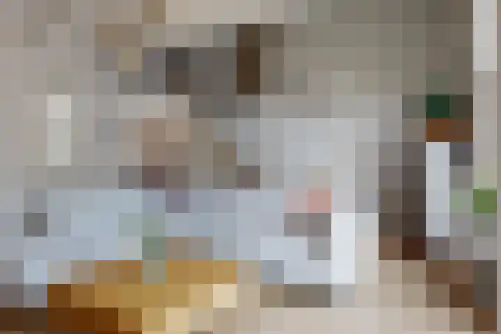 Eekwal 55 Renkum thumbnail 7