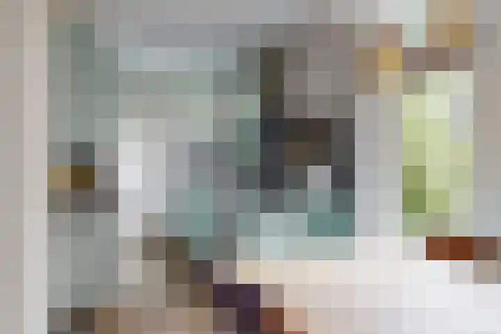 Eekwal 55 Renkum thumbnail 9